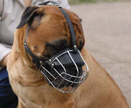 Best Fit dog Muzzle for DOG- wire Muzzle Best Fit dog Muzzle for DOG- wire Muzzle